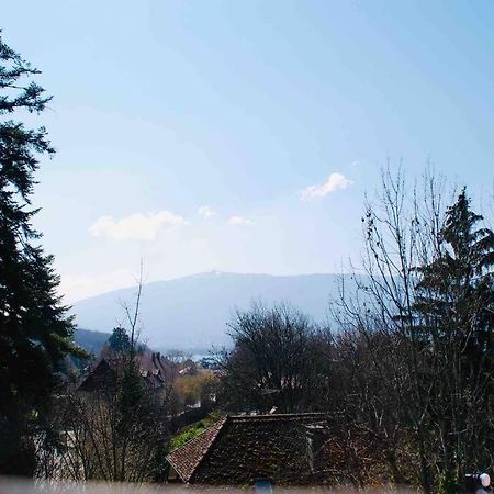 Maison 3 Chambres Au Lac D'Annecy, 30Min La Clusaz マントン・サン・ベルナール エクステリア 写真