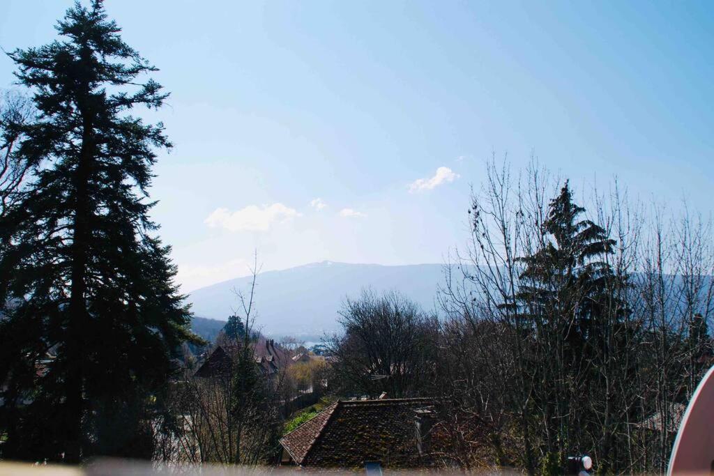 Maison 3 Chambres Au Lac D'Annecy, 30Min La Clusaz マントン・サン・ベルナール エクステリア 写真