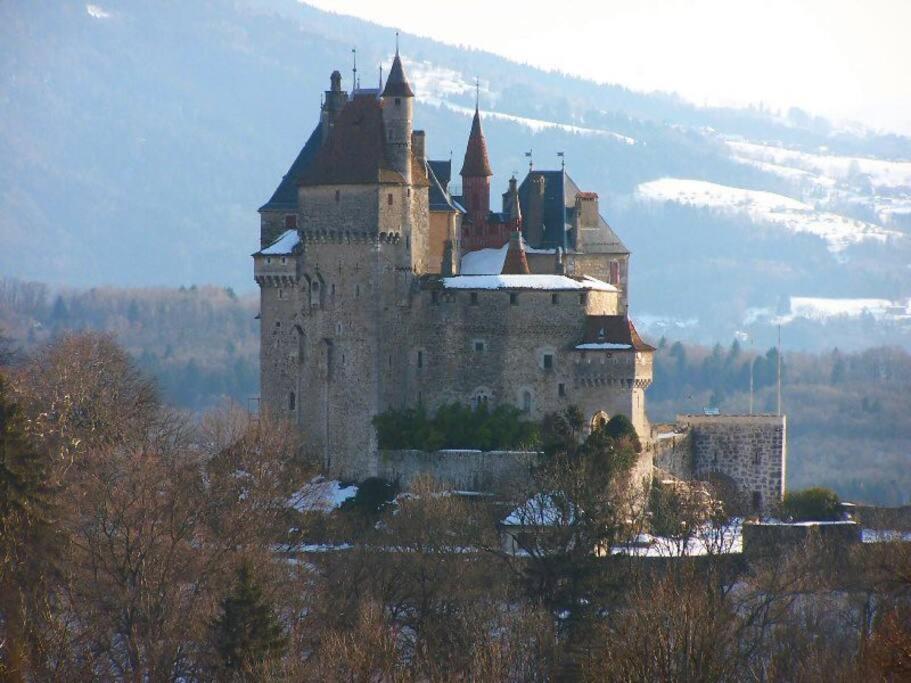 Maison 3 Chambres Au Lac D'Annecy, 30Min La Clusaz マントン・サン・ベルナール エクステリア 写真