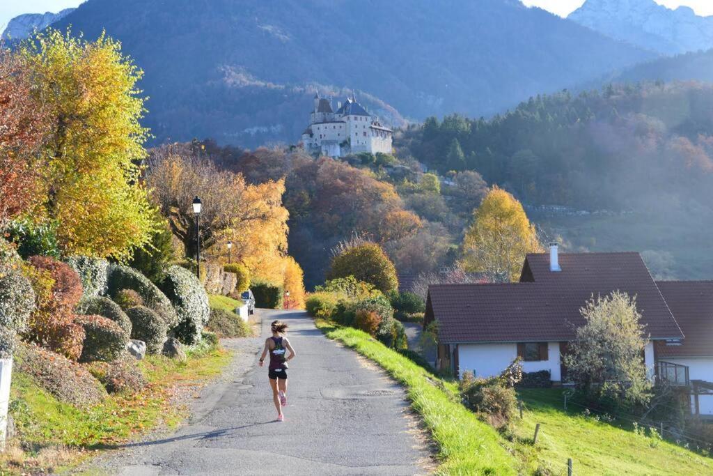 Maison 3 Chambres Au Lac D'Annecy, 30Min La Clusaz マントン・サン・ベルナール エクステリア 写真