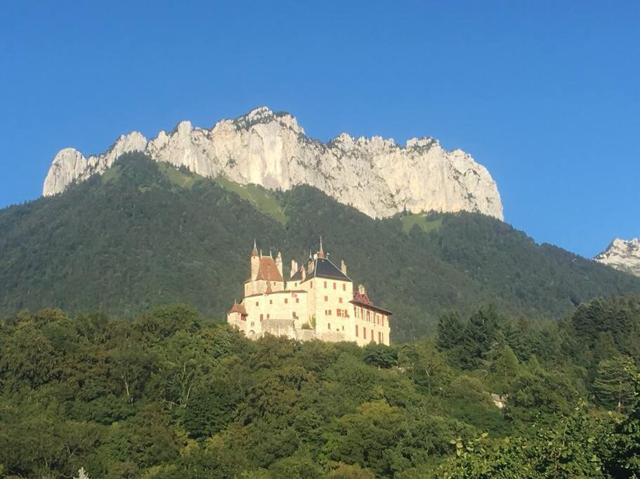 Maison 3 Chambres Au Lac D'Annecy, 30Min La Clusaz マントン・サン・ベルナール エクステリア 写真